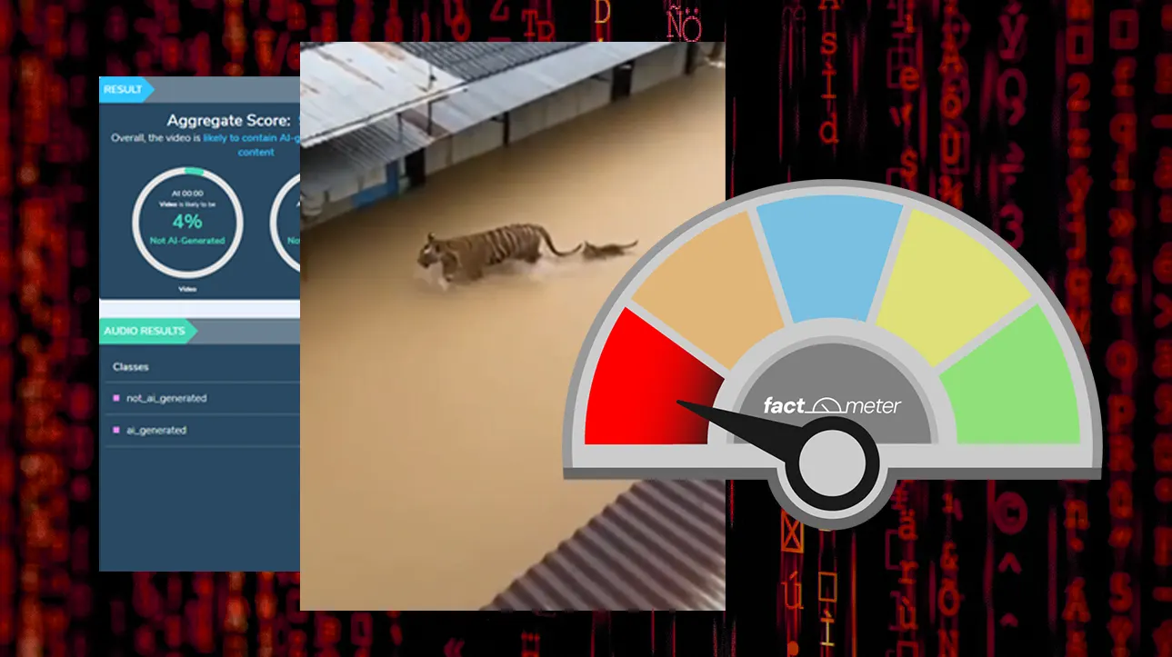 Benarkah Harimau Muncul Saat Banjir di Sumatera?